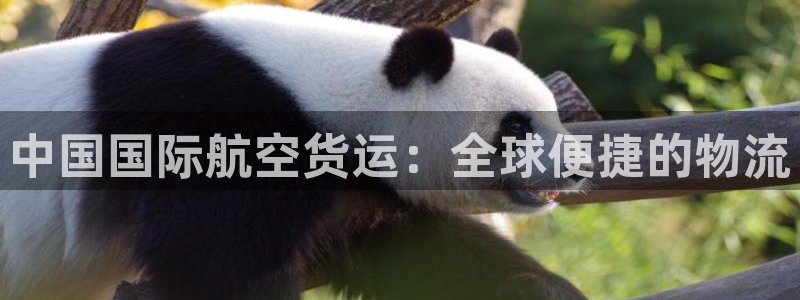 尊龙凯时官网平台