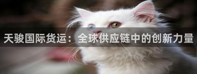 尊龙凯时z6官网