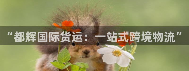 尊龙人生就是博AG旗舰厅