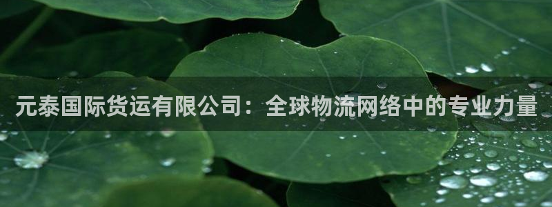 尊龙AG旗舰厅APP