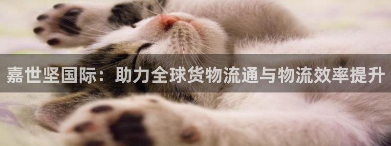 尊龙凯时法拉币