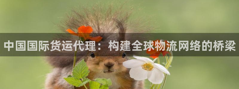尊龙凯时取款一直支付中