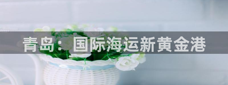尊龙凯时网站登录