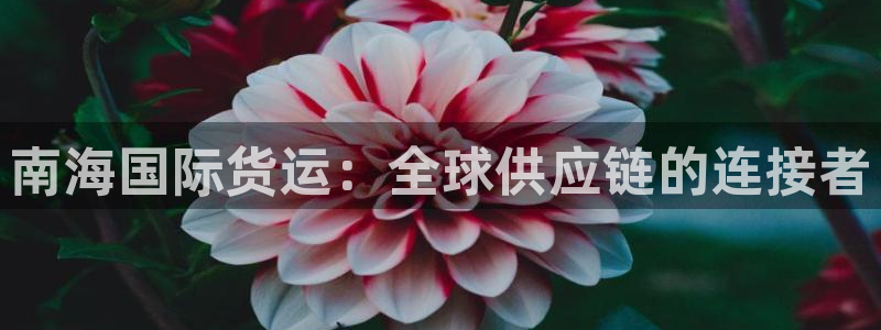 尊龙z6官网