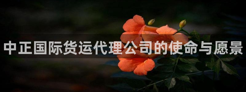 尊龙人生就是博ag