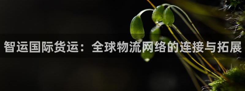 尊龙集团