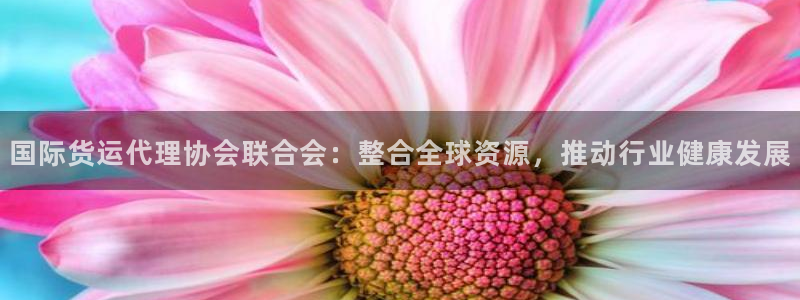 尊龙人生就是博下载