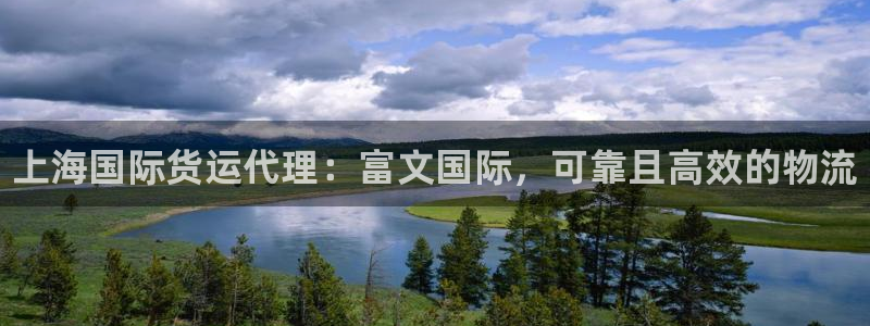 尊龙165：上海国际货运代理：富文国际，可靠且高效的物流