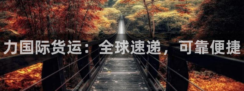 尊龙凯时客服：力国际货运：全球速递，可靠便捷
