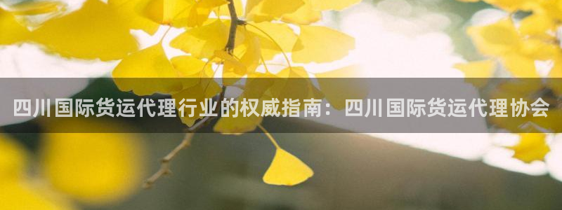 尊龙z6网址：四川国际货运代理行业的权威指南：四川国际货