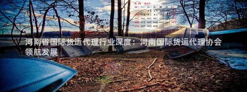 尊龙凯时出款：河南省国际货运代理行业深度：河南国际货运代