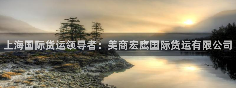 尊龙凯时公司官网：上海国际货运领导者：美商宏鹰国际货运有