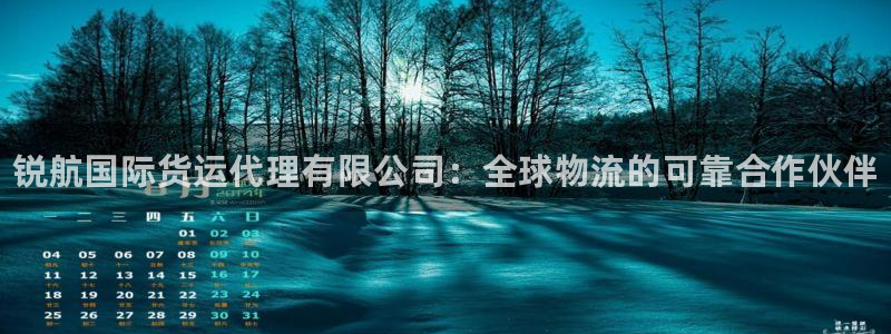 尊龙官方网站：锐航国际货运代理有限公司：全球物流的可靠合