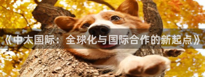 尊龙官方网站首页