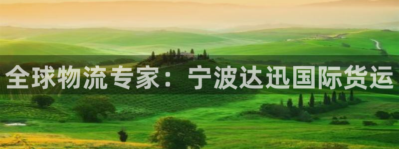 尊龙内地：全球物流专家：宁波达迅国际货运