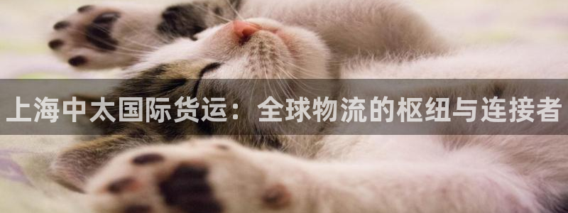 尊龙网站手机下载