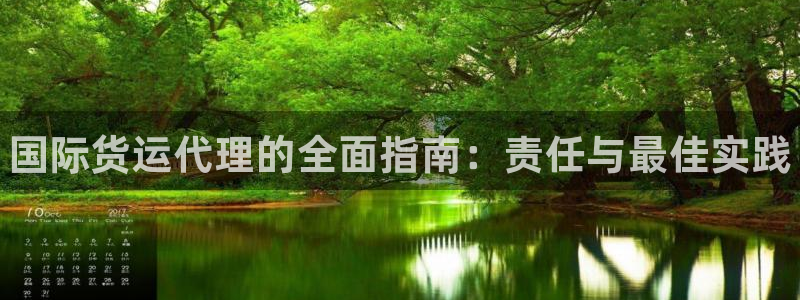 尊龙凯时不朽情缘：国际货运代理的全面指南：责任与最佳实践