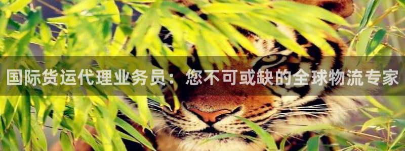 尊龙人生就是博现金：国际货运代理业务员：您不可或缺的全球