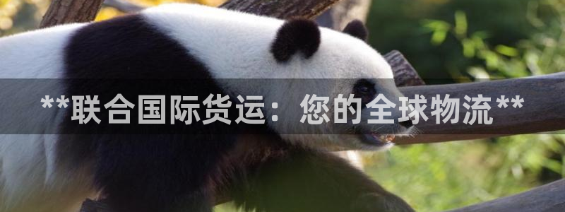 尊龙凯时-人生就是博中国官网：**联合国际货运：您的全球