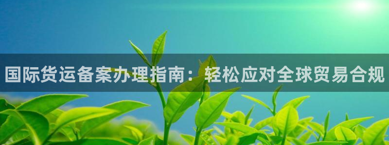 尊龙凯时怎么样没听说过：国际货运备案办理指南：轻松应对全