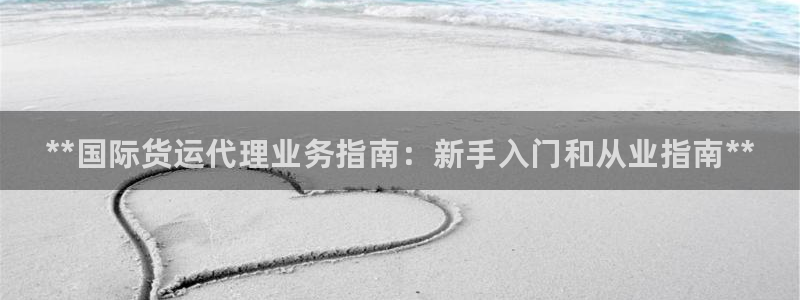 尊龙凯时存款多久到账：**国际货运代理业务指南：新手入门