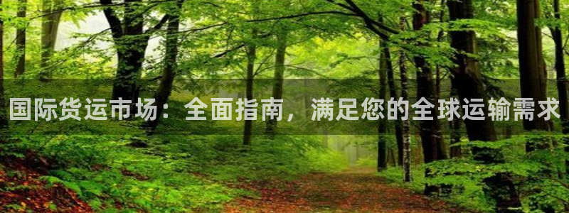 尊龙凯时电竞注册：国际货运市场：全面指南，满足您的全球运