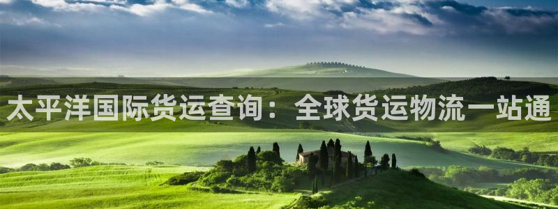 尊龙新版官网网页版：太平洋国际货运查询：全球货运物流一站