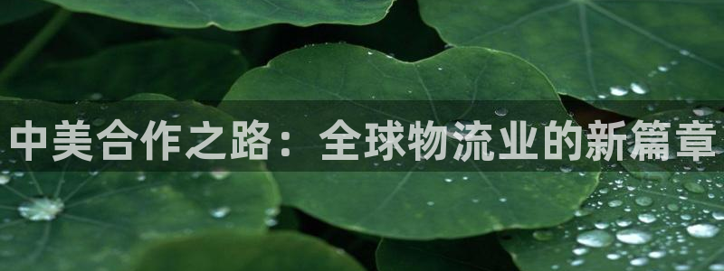 尊龙人生就是博旧版现