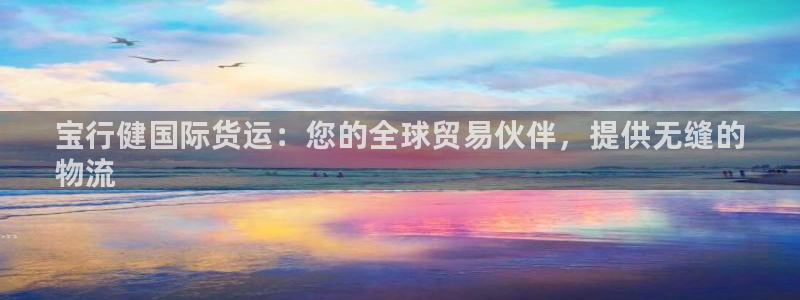 尊龙凯时取款一直支付中：宝行健国际货运：您的全球贸易伙伴