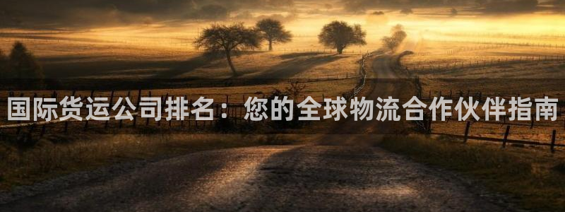 尊龙内地：国际货运公司排名：您的全球物流合作伙伴指南