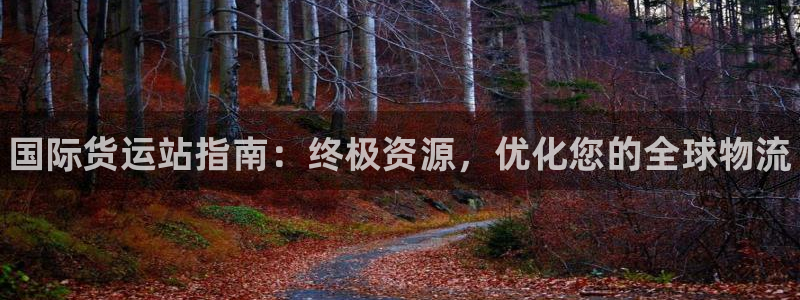 尊龙专访视频：国际货运站指南：终极资源，优化您的全球物流