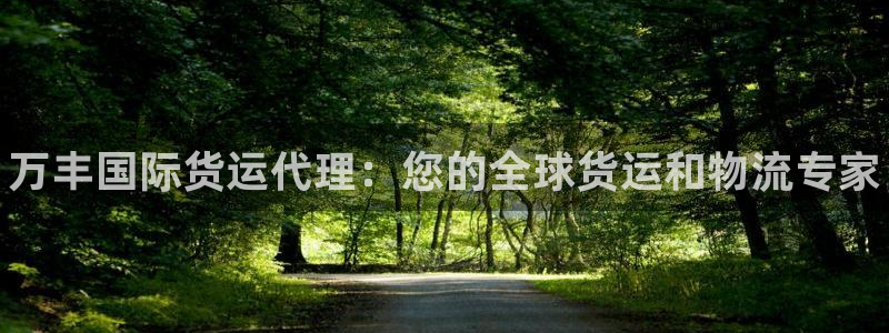 z6com尊龙凯时代理：万丰国际货运代理：您的全球货运和