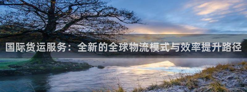 尊龙z6.con：国际货运服务：全新的全球物流模式与效率