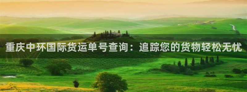 尊龙凯时人生就博：重庆中环国际货运单号查询：追踪您的货物