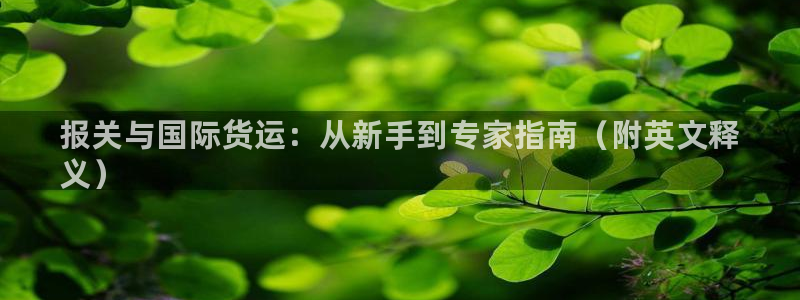 尊龙凯时ag旗舰厅官