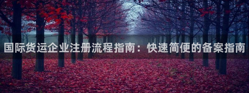尊龙凯时贴吧：国际货运企业注册流程指南：快速简便的备案指