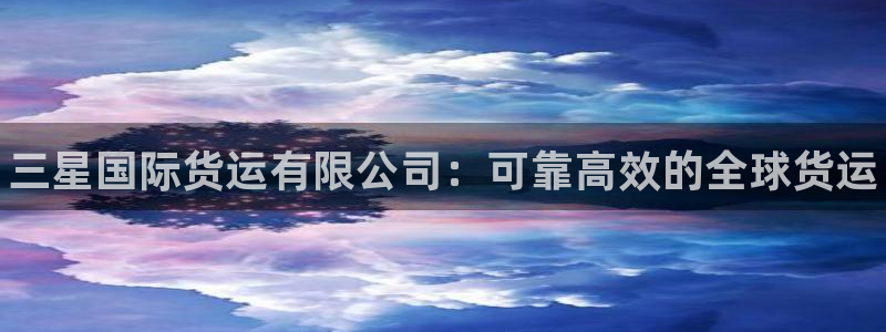 尊龙凯时ag旗舰厅试玩：三星国际货运有限公司：可靠高效的