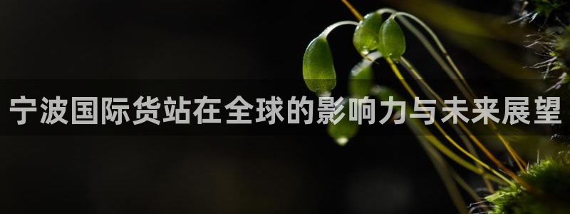 尊龙凯时的企业文化