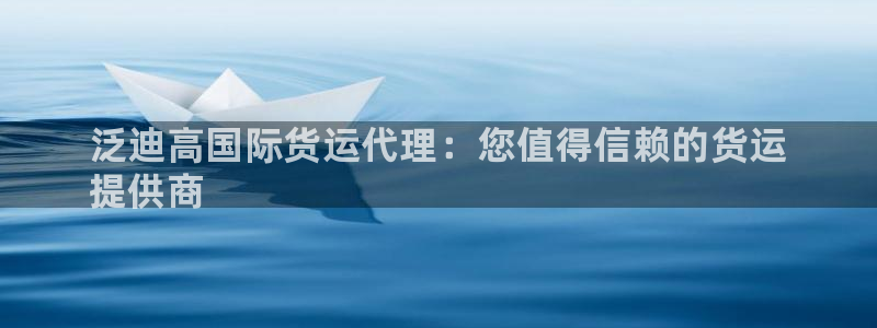 尊龙凯时法拉币：泛迪高国际货运代理：您值得信赖的货运
提