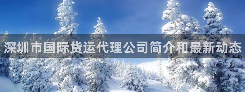 尊龙凯时城游戏官网