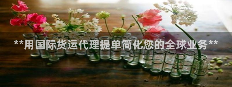 尊龙凯时手机版·(中国)官方网站：**用国际货运代理提单