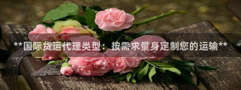 尊龙内地：**国际货运代理类型：按需求量身定制您的运输*